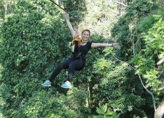 Popular Zipline Spots