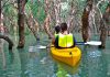 Popular Kayaking Spots