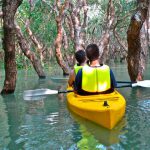 Popular Kayaking Spots