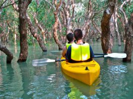 Popular Kayaking Spots
