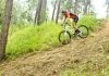 Popular Mountain Biking Areas