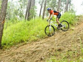 Popular Mountain Biking Areas