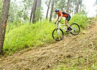 Popular Mountain Biking Areas