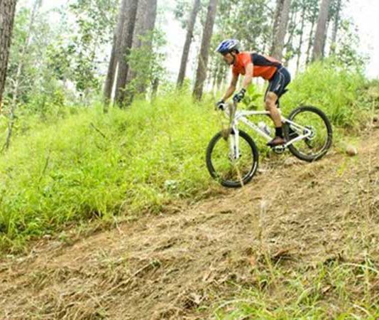 Popular Mountain Biking Areas