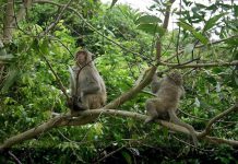 Best Wildlife Hotspots