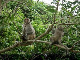 Best Wildlife Hotspots