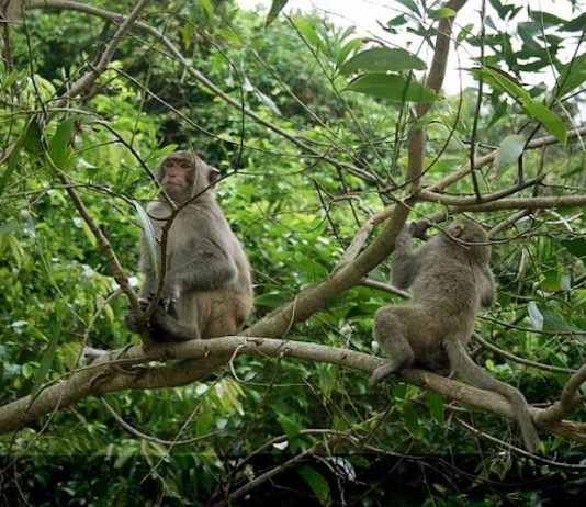 Best Wildlife Hotspots