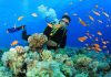 Best Dive Sites