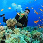 Best Dive Sites