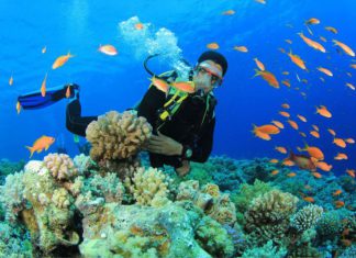 Best Dive Sites