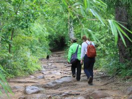 Popular Hiking & Trekking Trails