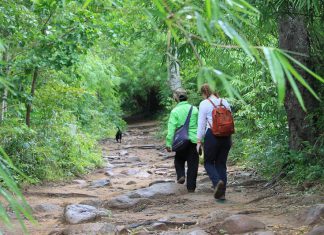 Popular Hiking & Trekking Trails