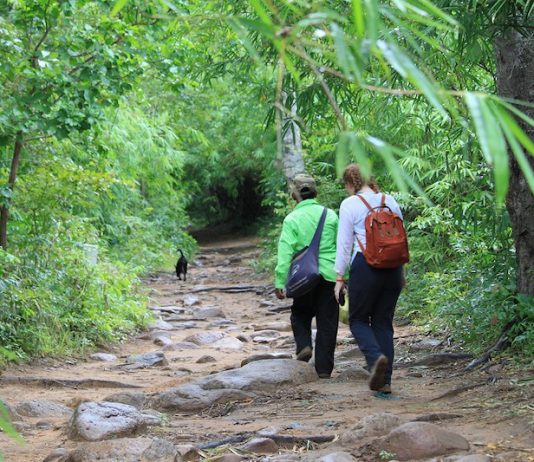 Popular Hiking & Trekking Trails