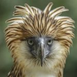 Popular Birding Spots