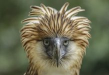 Popular Birding Spots