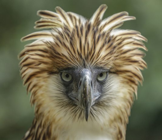 Popular Birding Spots