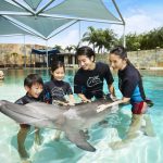 18 Best Attractions For Sightseeing Adventures in Singapore