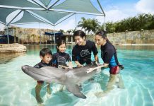 18 Best Attractions For Sightseeing Adventures in Singapore