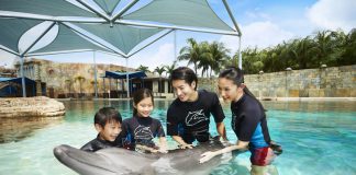 18 Best Attractions For Sightseeing Adventures in Singapore