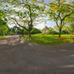 Must-Visit Attractions At Singapore Botanic Gardens