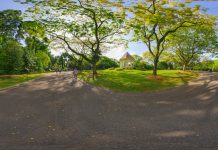 Must-Visit Attractions At Singapore Botanic Gardens