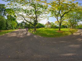 Must-Visit Attractions At Singapore Botanic Gardens