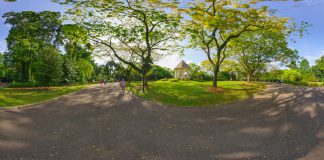 Must-Visit Attractions At Singapore Botanic Gardens