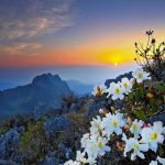 Outdoor & Cultural Adventures In Chiang Dao