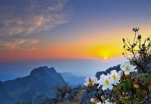 Outdoor & Cultural Adventures In Chiang Dao