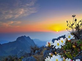 Outdoor & Cultural Adventures In Chiang Dao