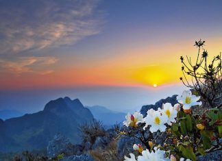 Outdoor & Cultural Adventures In Chiang Dao