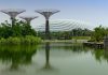 7 Free Attractions At Gardens by the Bay
