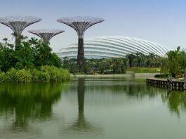 7 Free Attractions At Gardens by the Bay