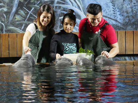 river safari malaysia