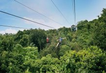 A Fun Day On Sentosa Island