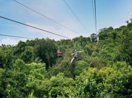 A Fun Day On Sentosa Island