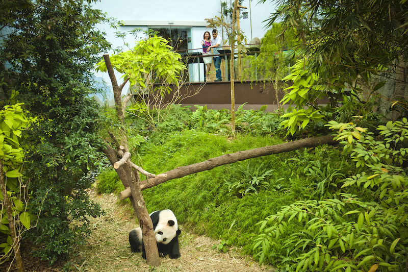 river safari malaysia