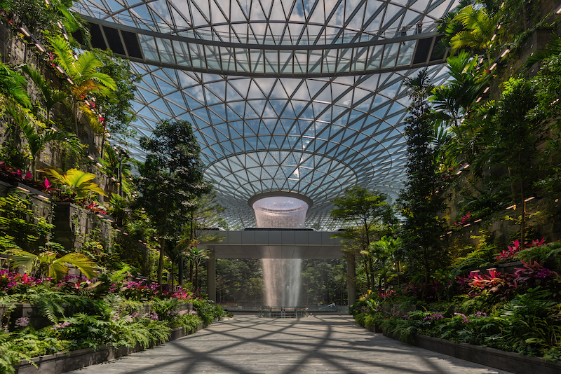 6 Beautiful Gardens In Singapore To Restore Your Mind & Soul - Shiseido Forest Valley