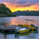 5 Reasons To Visit MacRitchie Reservoir Park