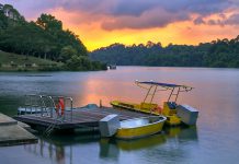 5 Reasons To Visit MacRitchie Reservoir Park