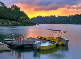 5 Reasons To Visit MacRitchie Reservoir Park