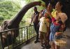 5 Reasons Why Animal Lovers Must Visit Singapore Zoo