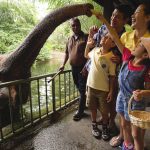 5 Reasons Why Animal Lovers Must Visit Singapore Zoo