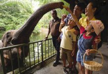 5 Reasons Why Animal Lovers Must Visit Singapore Zoo