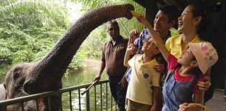 5 Reasons Why Animal Lovers Must Visit Singapore Zoo