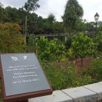 5 Fun Discoveries At The Learning Forest