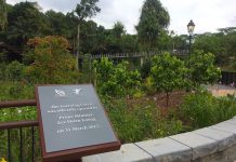 5 Fun Discoveries At The Learning Forest