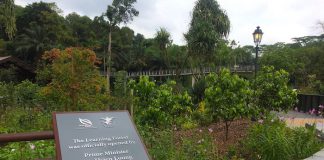 5 Fun Discoveries At The Learning Forest