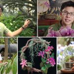Learn, Watch & Shop With Gardens by the Bay