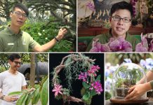 Learn, Watch & Shop With Gardens by the Bay